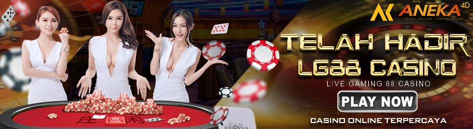 BANNER LG CASINO